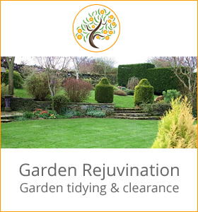 Garden Rejuvination